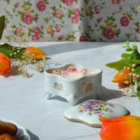 Daphne boite 4