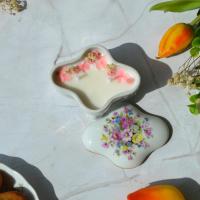Daphne boite 6