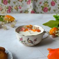 Francesca tasse paon 1