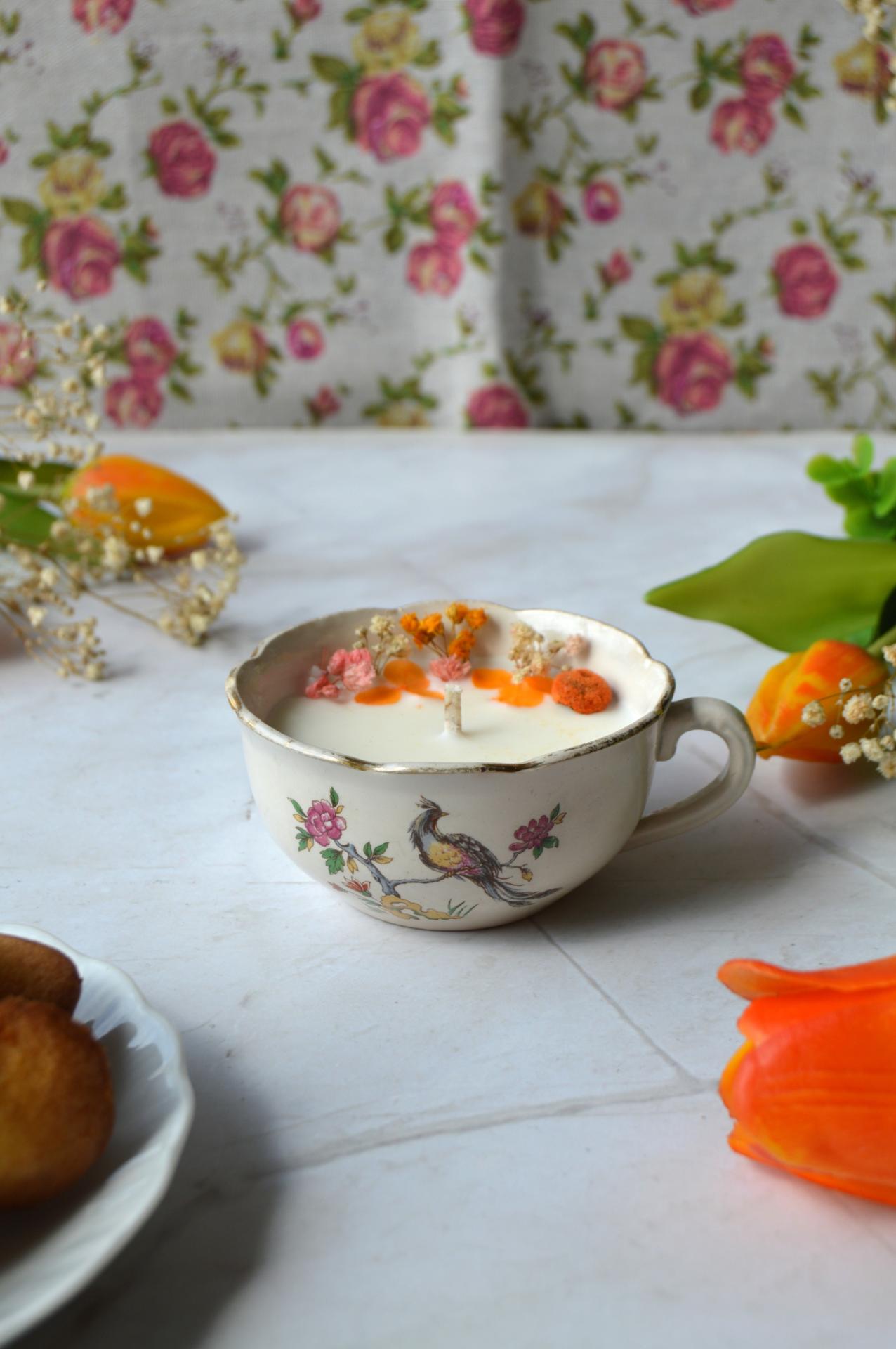 Francesca tasse paon 1