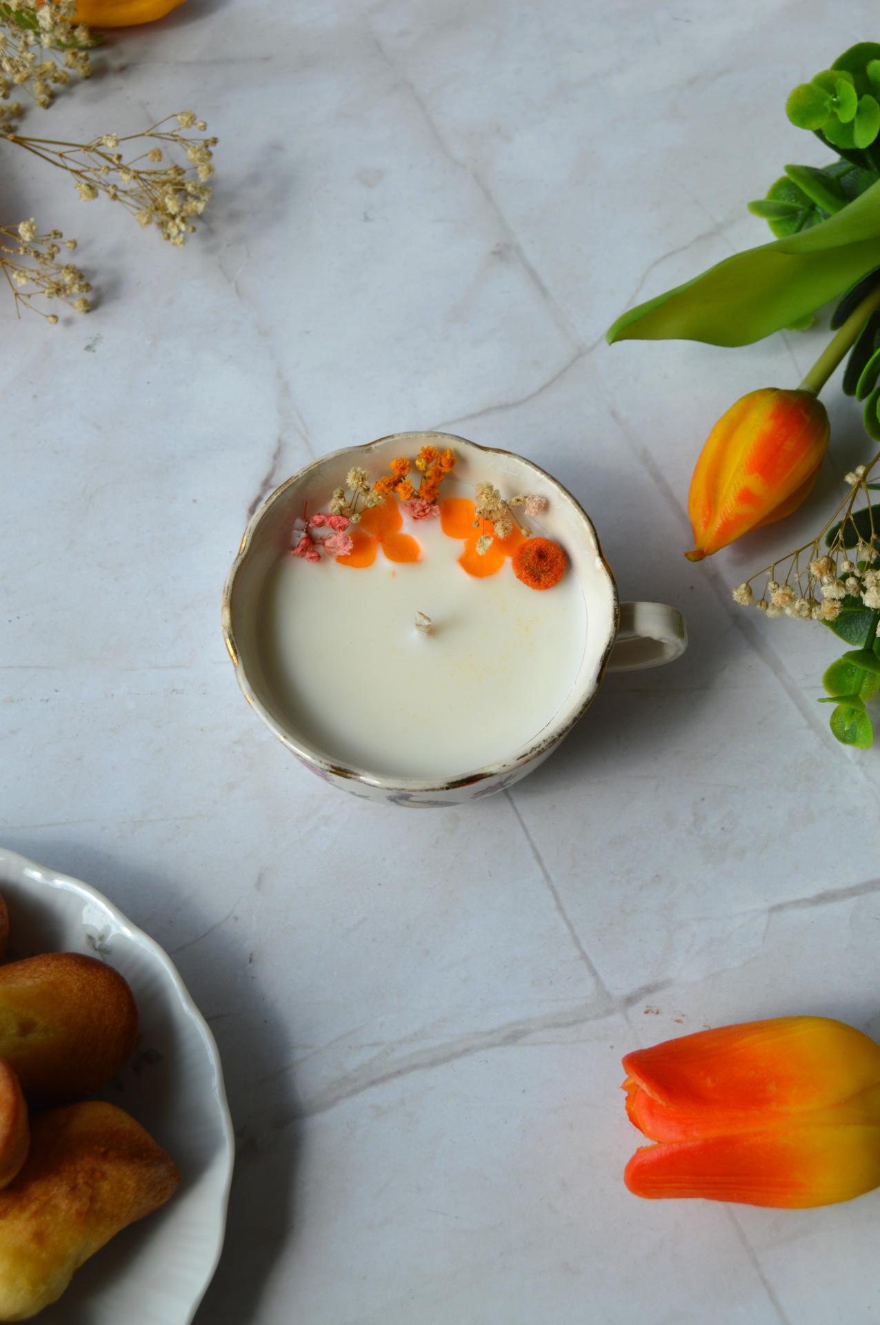 Francesca tasse paon 2