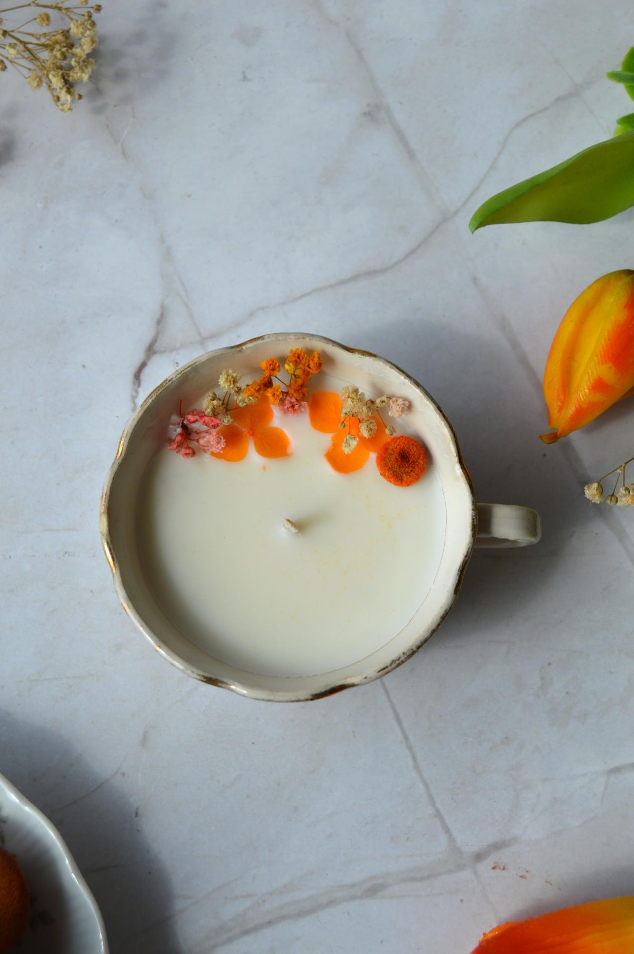 Francesca tasse paon 3