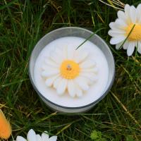 Marguerite 2