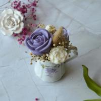 Violette 11